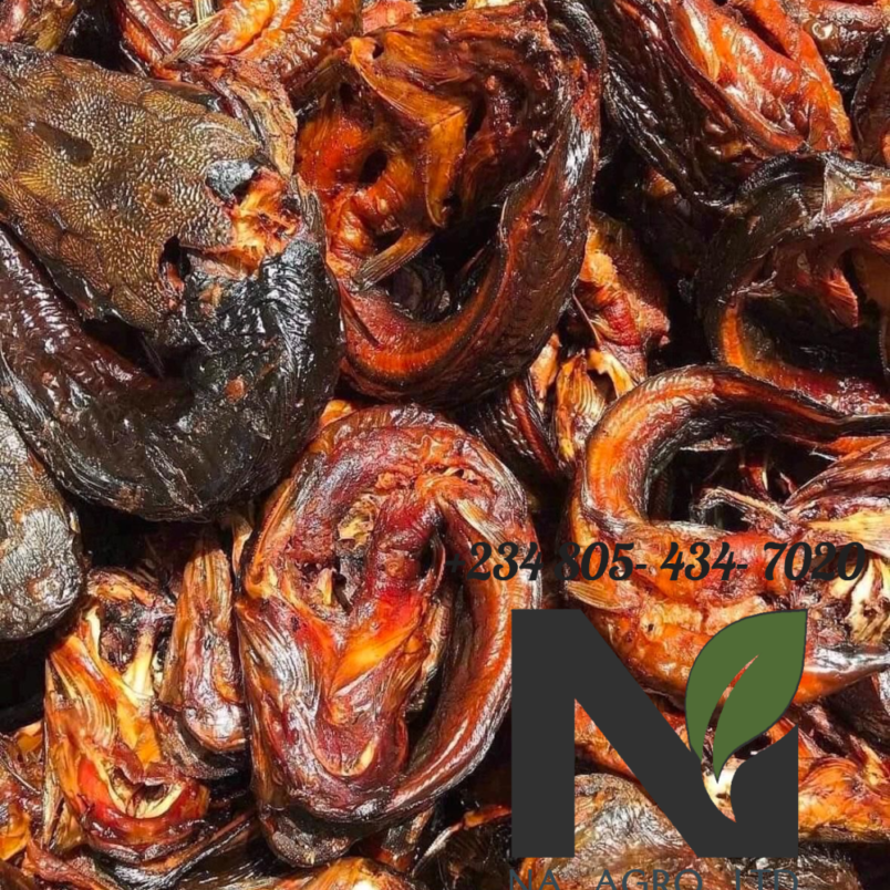 Dried- Catfish