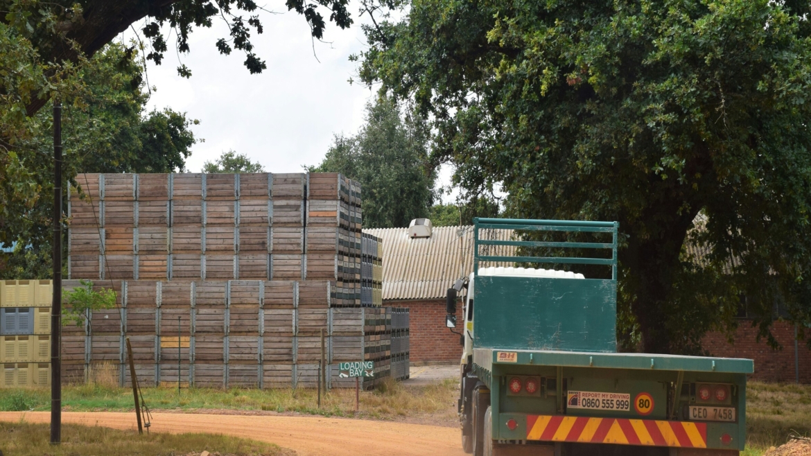 Processing and Packaging of Agro-Based Products